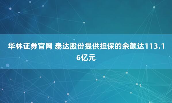 华林证券官网 泰达股份提供担保的余额达113.16亿元