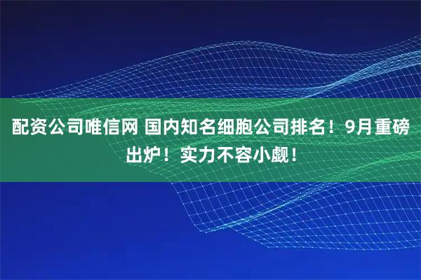 配资公司唯信网 国内知名细胞公司排名!9月重磅出炉!实力不容小觑!