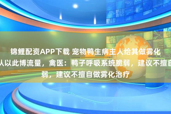 锦鲤配资APP下载 宠物鸭生病主人给其做雾化，当事人否认以此博流量，禽医：鸭子呼吸系统脆弱，建议不擅自做雾化治疗