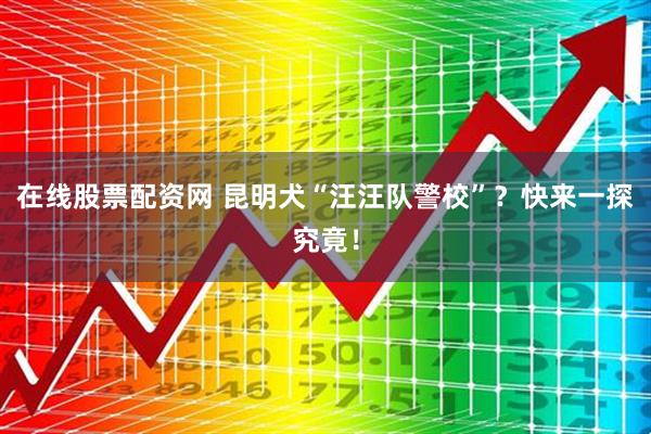 在线股票配资网 昆明犬“汪汪队警校”？快来一探究竟！